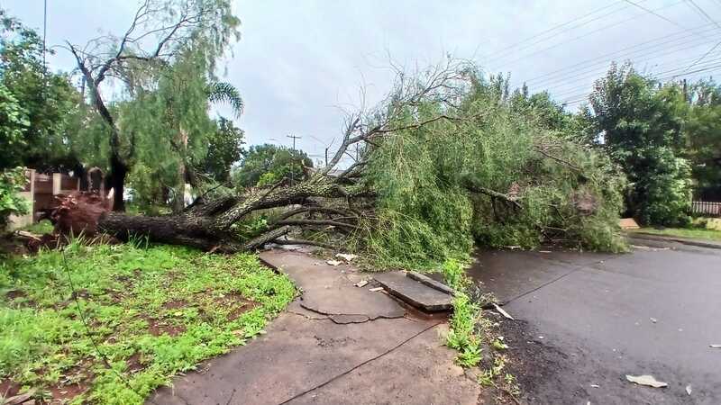 Temporal causa estragos em Laranjeiras do Sul